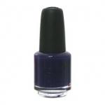 Special Nail Polish - S23 Royal Purple(5ml)