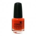 Special Nail Polish - S10 Pastel Orange(5ml)