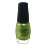 Regular Nail Polish - R19 Shining Green(10ml)