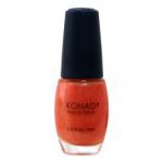 Regular Nail Polish - R17 Shining Orange(10ml)