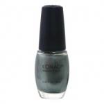 Regular Nail Polish - R6 Shining Silver(10ml)